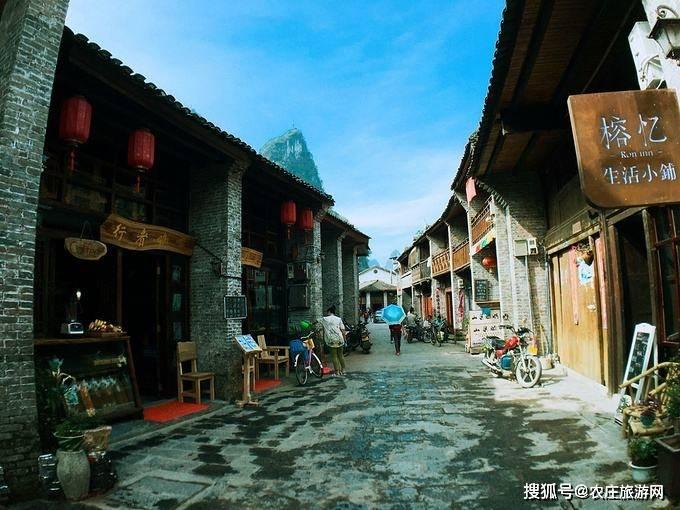 拯救红松鼠